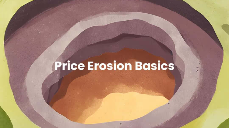 How to Tackle Price Erosion in eCommerce: A Beginner’s Guide