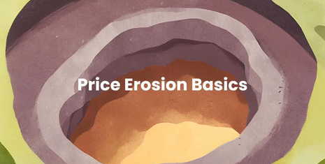How to Tackle Price Erosion in eCommerce: A Beginner’s Guide
